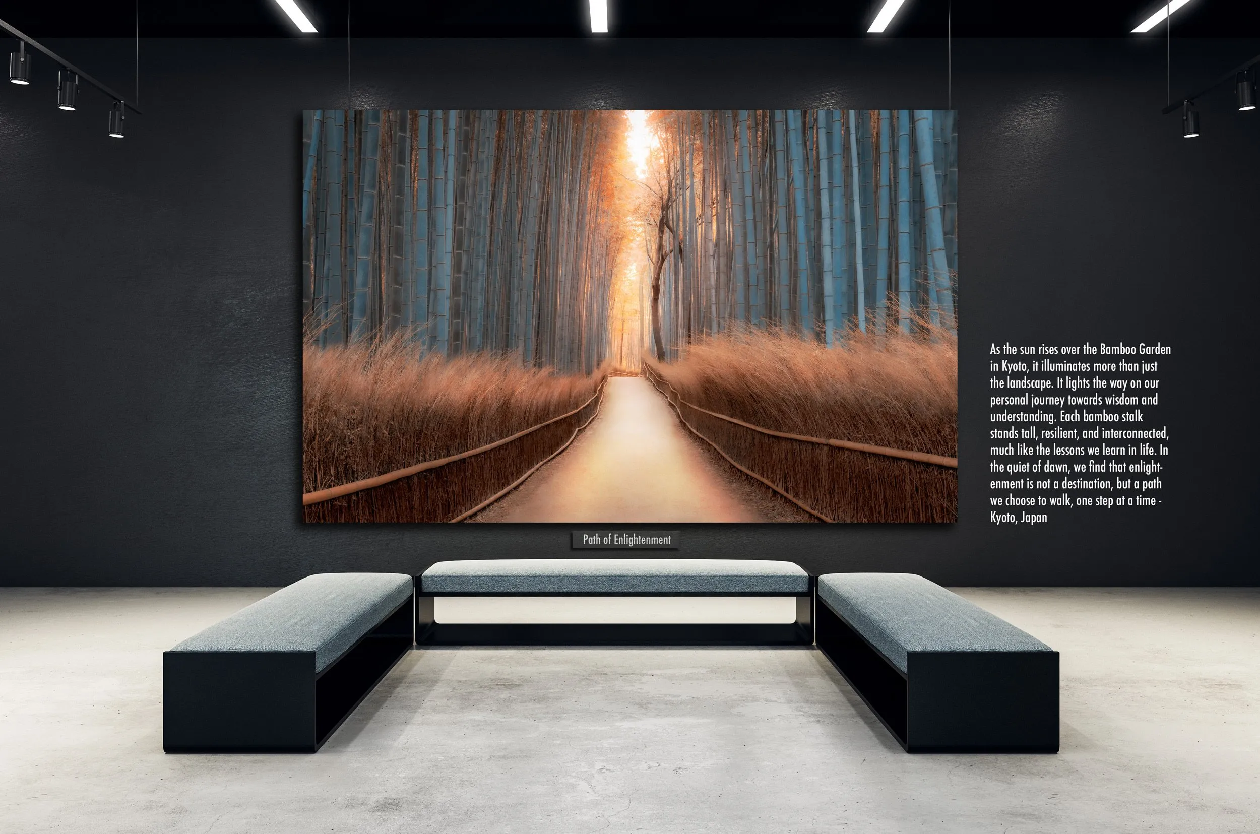 As the sun rises over the Bamboo Garden in Kyoto, it illuminates more than just the landscape. It lights the way on our personal journey towards wisdom and understanding. Each bamboo stalk stands tall, resilient, and interconnected, much like the les